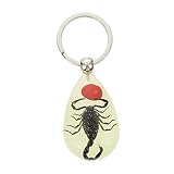 Porte-clés scorpion : c'est un look classique de style moderne et deviendra bientôt votre accessoire préféré, exemple de porte-clés