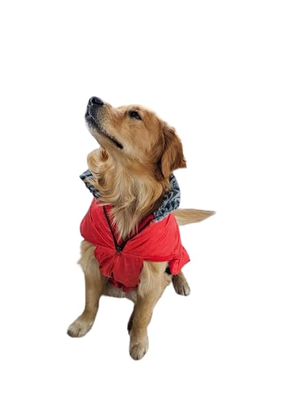 Waggytails Premium High Neck Dog Jacket for Winters - Warm, Soft and Streachable Jackets for Pets, (Neon Red), (L) (B0BLY2Y369) Amazon Price History, Amazon Price Tracker