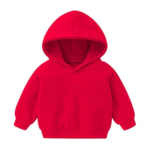 Toddler Kids Boys Girls Hoodies Trendy 2025 Long Sleeve Solid Sweatshirts Cute Casual Cozy Fall Winter Pullover Tops