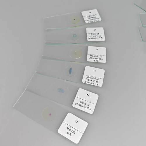 Image of 30 Pcs Microscope Slides Prepared Biology Specimen Lab Sample with Insects Plants Science Learning Home School