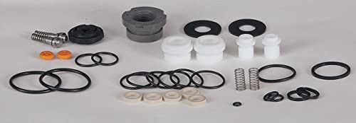 Dayton Pump Repair Kit for 6PY35, 6PY36, 6PY40, 6PY41, 3HJV9, 3HJW2-22A610