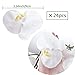 HinyoCo 24 Pcs Orchid Decorations Real Touch PU Artificial Flowers Orchid Heads Fake Phalaenopsis Flower Heads for DIY Craft Home Wedding Decoration