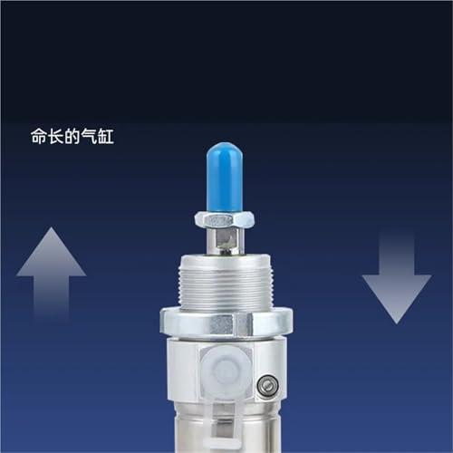 Cylindre pneumatique DSNU-20 en acier inoxydable double effet - 3