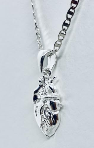 Opiniones y reviews de Corazon Chico al mejor precio. 30 Imagen adicional