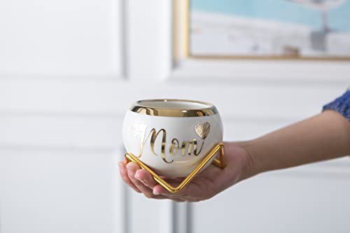 Perabella Mothers Day Mom Gifts, Mom Birthday Gifts From Daughter And Son | Gifts For Mom | Mom Gifts Unique, Best Gifts For Elderly Mom, For Mothers Gifts | Best Mom Ever Gifts Succulent Pots 3 Pcs #TOP5