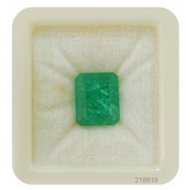 DENMOUS �x�����G�������h (�p���i�X�g�[��) �F��V�R��� Aaa �i�� 5.25 Ratti-B07FQW7MK1-DNM