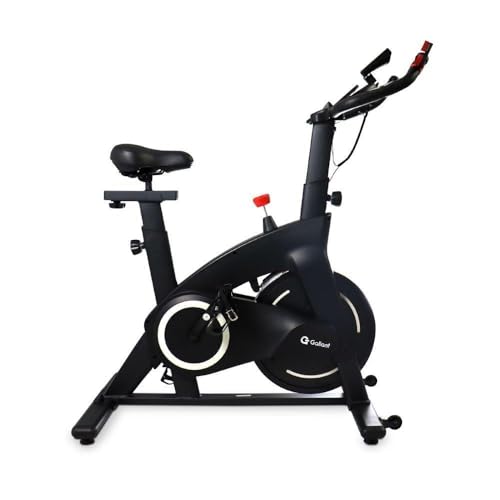 Bicicleta Spinning Gallant Elite X
