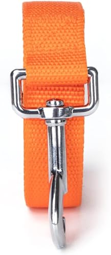 Image of 10 Feet Nylon Training Dog Leash for Small Medium Large Dogs Puppy Lead for Obedience Recall Training, Camping (Orange)