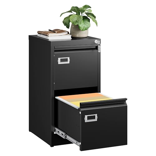 SISESOL 2-Drawer Lockable Metal Filing Cabinet