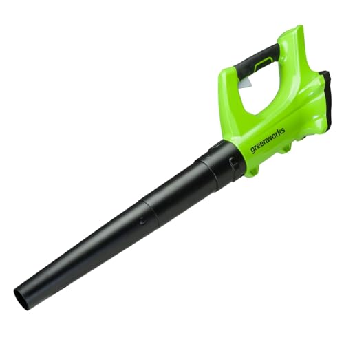 Greenworks G24AB Soffiatore Foglie Assiale a