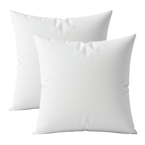 Digital Decor �v���~�A����h�����X���[�s���[�C���T�[�g�V���� 2�Z�b�g - �����z���C�g�X�N�G�A�t�H�[�����C���T�[�g - �x�b�h���[���A�\�t�@�A�J�E�`�ɍœK (24�C���` x 24�C���`�A�_�u���p�b�N)