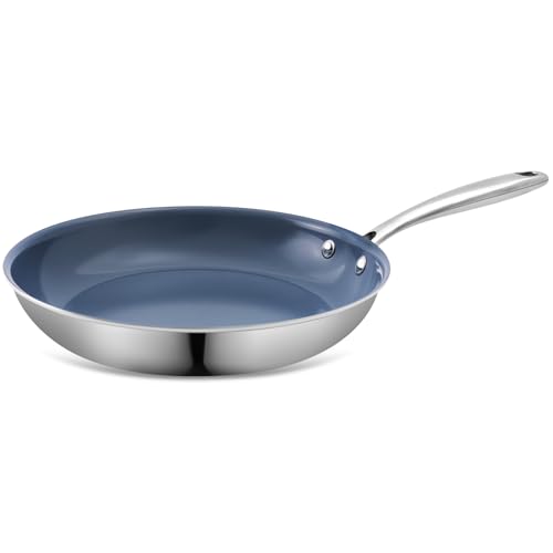 Ephaclad Stainless Steel Nonstick Frying Pan,8 Inch Healthy Non Toxic Ceramic Coating Cookware Works...