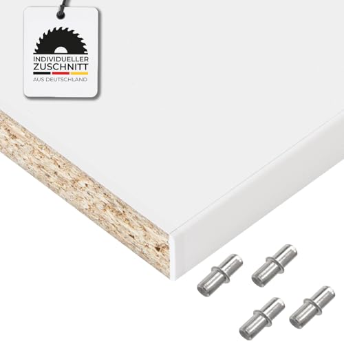 Hausfux Einlegeboden, Regalboden nach Maß - 1,9 cm Starke Spanplatte, melaminbeschichtet, einseitige ABS-Kante - Made in Germany - Maßanfertigung - für Möbelbau (ICY White, 100 x 60 cm) Hausfux Einlegeboden, Regalboden nach Maß - 1,9 cm Starke Spanplatte, melaminbeschichtet, einseitige ABS-Kante - Made in Germany - Maßanfertigung - für Möbelbau (ICY White, 100 x 60 cm)