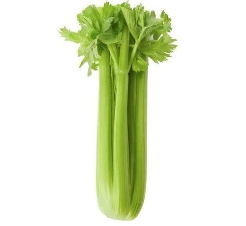 Organic Green Celery Vegetable/Herb Plant-X92NK-100Seeds (B0BV7LTJV4) Amazon Price History, Amazon Price Tracker