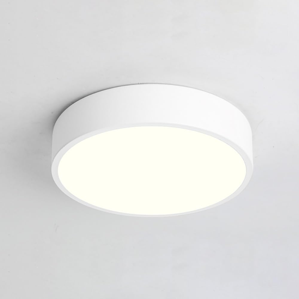 COSRUB Modern LED Ceiling Lamps, Round Small Flush Mount Ceiling Light Minimalist Dimmable Ceiling Lighting Fixture for Hallway Entryway Balconies(White(6000k),30cm/11.81in)