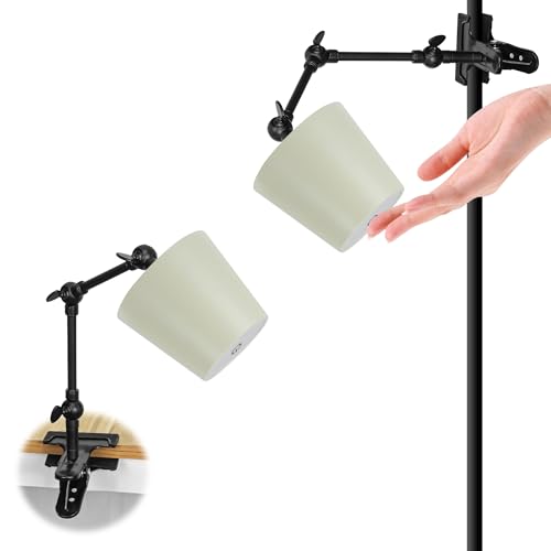 SKIVTGLAMP LED Clip Light, Pole Mounted, Tpye-C Rechargeable, Eye-friendly, Signage Light, Cordless Electricity, No Wiring Required, Arm: 3.9 inches (10 cm), Touch Operation, 3 Ways 3 Level Dimming