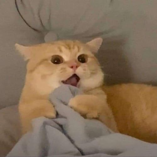 Pro Popcast copertina