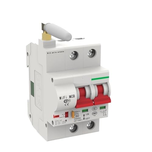 Disjoncteur 2P 80A modulaire pour la protection des circuits électriques de puissance
