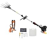Powertec Pro -vareador de olivos de Gasolina de 27cc