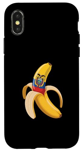 GNAhoii X}zP[X iPhone X/XS p