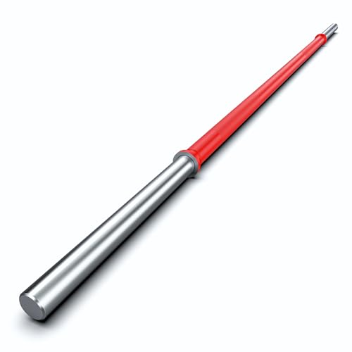 TECHNOAGE 6FT Olympic Barbell for Strength and Weightlifting Training 1 Inch Olympic Bar Barbell for Squat Curl Deadlift Bench Press Overhead Press Hip Thrust 350LBS Capacity(Red&Silver)