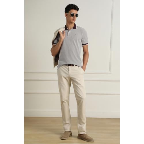 Image of Van Heusen Premium Polo T-Shirt for Men | Quick Dry | Comfort Fit | Breathable Fabric