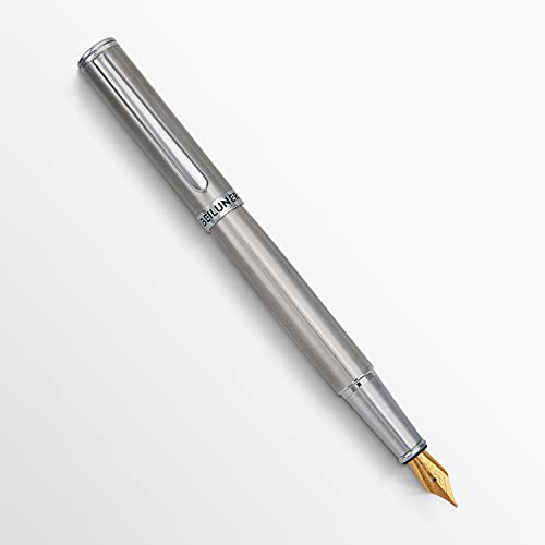 Beiluner Luxury Fountain Pen Set,Solid 24K Gilded Extra Fine Nib, Silver Stainless Steel Body- Includes 6 Ink Cartridges & Ink Refill Converter With Gift Case - Perfect For Men And Women #TOP1