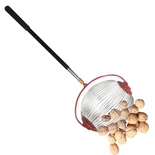 Sucritude 46-150cm Telescopic Garden Nut Collector, Acorn Picker Upper Roller, Rolling Nut Collector, Easy To Pick And Empty, Apply To Acorn, Walnut, Hickory, Chestnuts, Buckeyes, Golf (small/Large) Sucritude 46-150cm Telescopic Garden Nut Collector, Acorn Picker Upper Roller, Rolling Nut Collector, Easy To Pick And Empty, Apply To Acorn, Walnut, Hickory, Chestnuts, Buckeyes, Golf (small/Large)