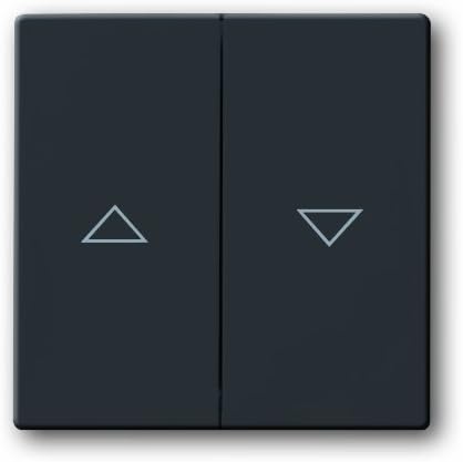 Busch-Jaeger 1785 81 Rocker Wall Plate, Bunt
