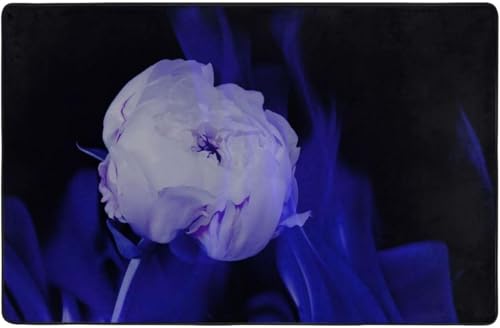  NCu[̓IȌIȕ O O}bg J[ybg 100 * 150 Cm J[ybgΉ ~ ` ~ߕt EHbVu I[V[YKp