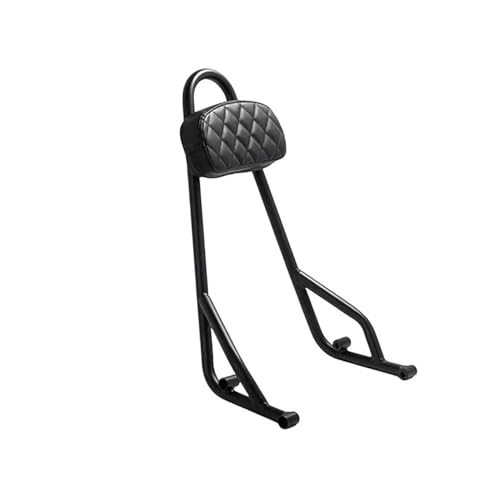Support de siège arrière moto avec dossier passager Clc450