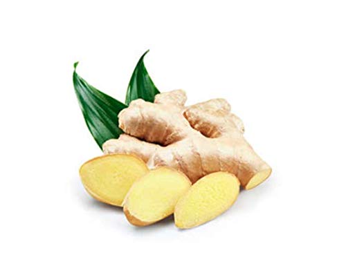 NRTC Fresh Ginger (China)