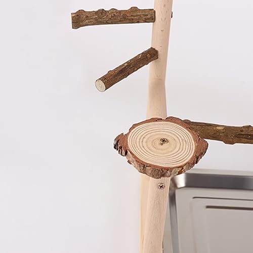 Image of RoseFlower Parrot Playstand, Bird Stand for Indoor, Wooden Bird Playground with Swing, Ladder, Perches and Removable Tray, L*W*H 14x9x15 Inch