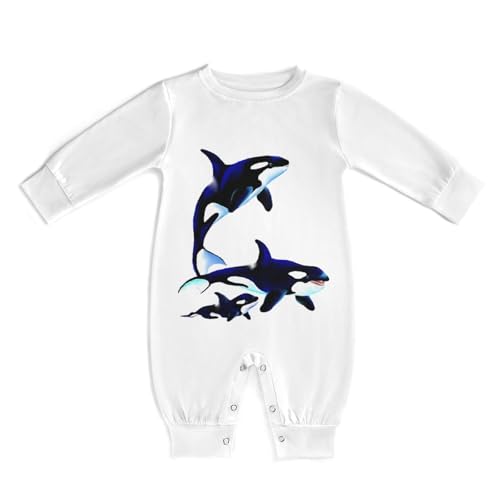 [A^`[] xr[ V`Ƒ p[X Ԃ V ̎q j̎q OJ _炩 v[g 0-3M