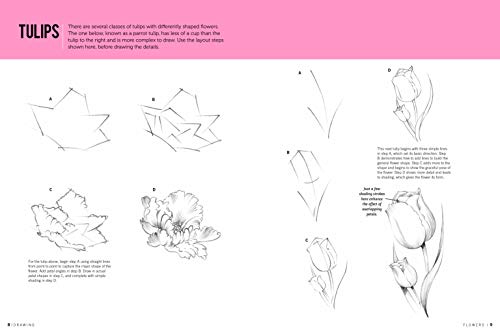 Drawing: Flowers with William F. Powell: Learn to draw step by step