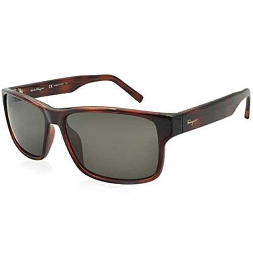 Ferragamo SF960S Unisex Sunglasses Tortoise, 58