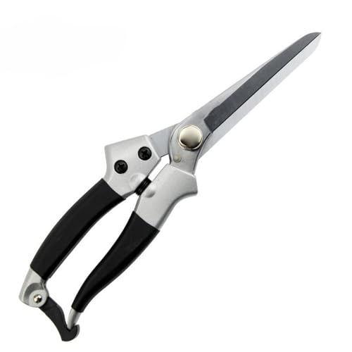 ALCXAZS Yf| yŏvȃg}[Lbg sn rg}[ ЂÂ߂̃g~O