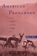 Hardcover American Pronghorn: Social Adaptations and the Ghosts of Predators Past Book