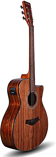 Kadence Guitar Acoustica Series (Grand Auditorium body) Semi Acoustic Zebra Wood Guitar with EQ, Padded bag and Learning Course- (A05EQN) (Brown)