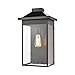 Lamplighter 1-Light Sconce in Matte Black with Seedy Glass