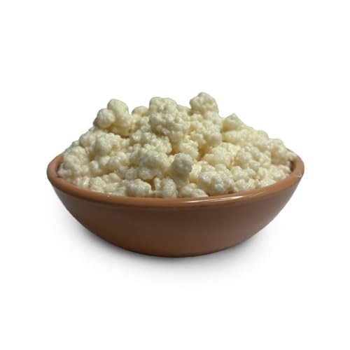 Kelifta by Feelgood Kefir® - Live Large Milk Kefir Grains (15g) | 55+ Live Culture Strains | Includes Strainer, Spoon & Complimentary Milk Kefir Starter sachet| Milk kefir grain- Reusable & Multiplying