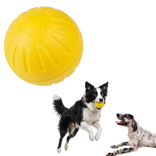 Lifetips �C���O���b�V���E�Z�b�^�[�iEnglish Setter�j ���p �������� EVA�����O �h�[�i�c�^ �{�[�� �y�� ��v �f�� ���� �V�їp �y�b�g�ߋ� ������ �T�|�[�g �^�� �X�g���X���U ���ɕ��� ���^�� ���^�� ��^�� �Ή� ���� �V