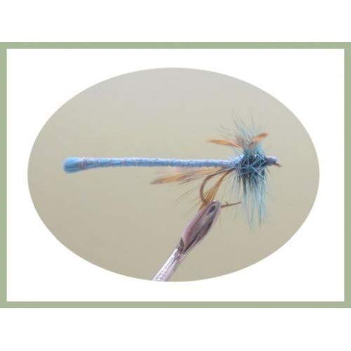 12 Pack of Teal Blue Dragon Fly Damsel Trout fishing Flies, Size 10