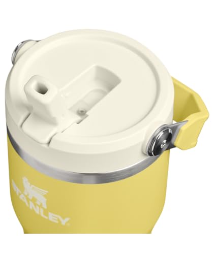 Image of STANLEY IceFlow 2.0 Flip Straw Tumbler with Handle 20 oz | Twist On Lid and Flip Up Straw | Leakproof Water Bottle | Insulated Stainless Steel | BPA-Free | Daffodil