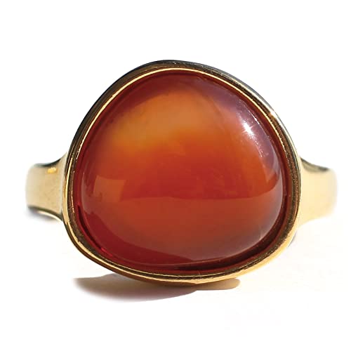 [abaskdesign] 038901 AoXNfUC O w AM[Ή XeX J[ VR΃LfB[O fB[X VR J[Xg[ S[h Jt Mtg v[g 킢 038901 (IW(I