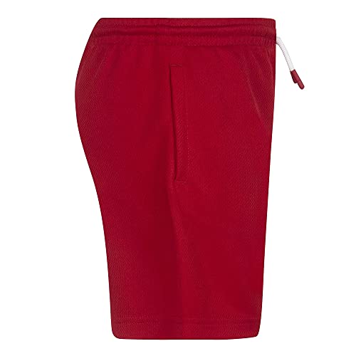 Jordan Boy's Jumpman Big Air Mesh Shorts (Toddler/Little Kids/Big Kids)4