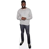 Celebrity Cutouts