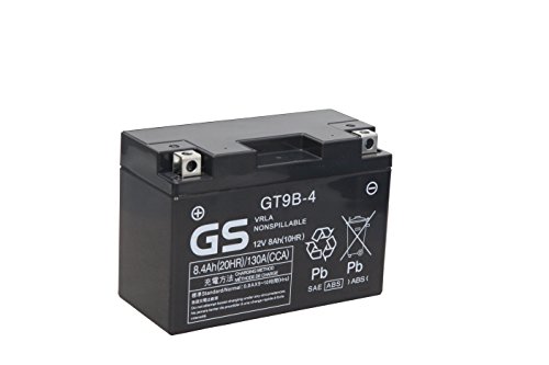 TAIWAN GS [ pW[GX ] V[h^ oCNpobe[ [ t[d ] GT9B-4