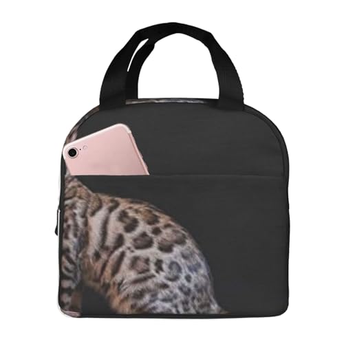 fM`obOAeʁAhAMRh~AX^CbVŏvAdAwZAAEghAɕ֗AjZbNXil̓hGAwiAwfBAAۓIȉԕj