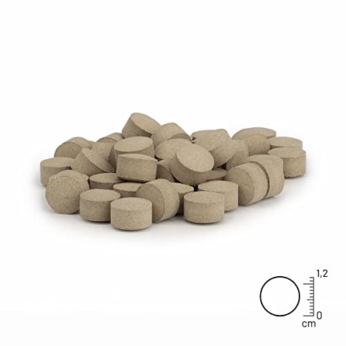 ReaVET Vitamin B Komplex Hund 120 Tabletten für bis zu 4 Monate - hochdosiert für Hunde mit Vitamin B1, B2, B3, B5, B6, B9, B12 I Für glänzendes Fell & Vitale Haut